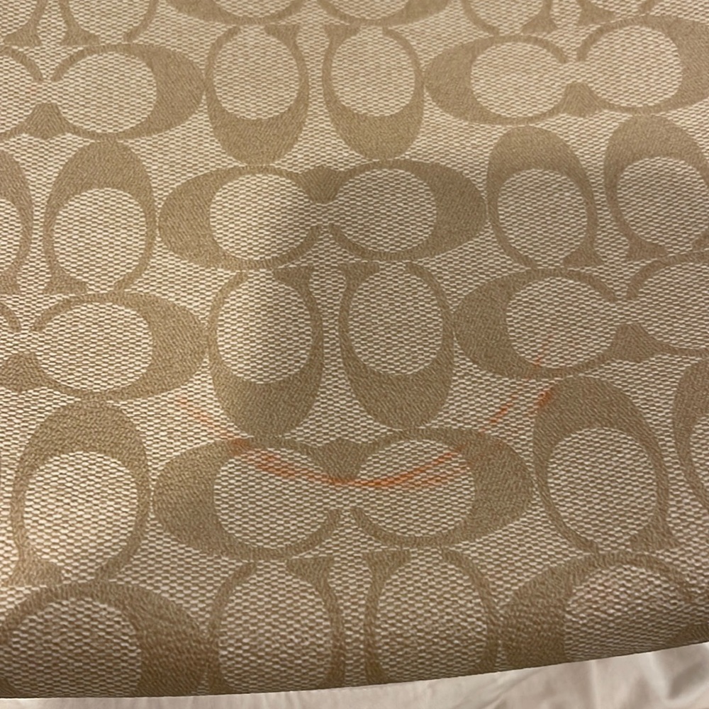 Coach Strap bag brand new (has stain from other bag)